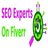 seoexpertsonfiverrsite1