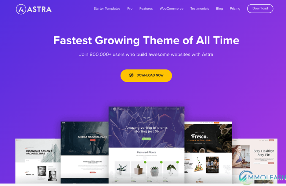 Astra Theme WordPress