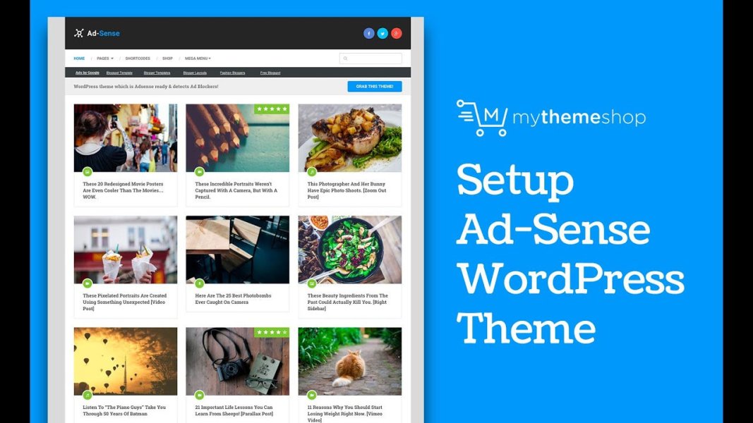 MyThemeShop Ad-Sense