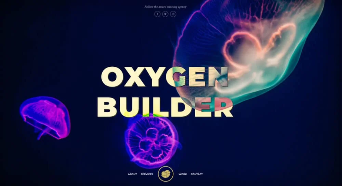 OxyNinja Powerful Tools & Design Sets For Oxygen Builder