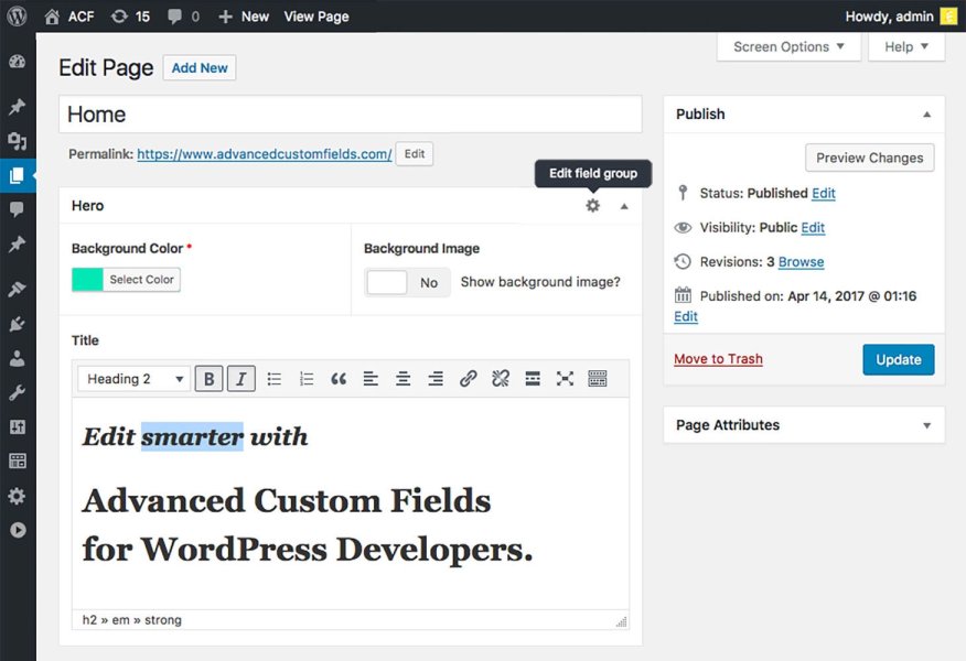 Advanced Custom Fields (ACF) Pro